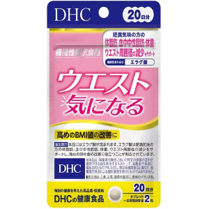 DHC 웨이스트 케어 20일분 40정