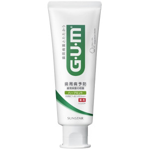 썬스타 GUM 덴탈 페이스트 치약 허브 민트 120g