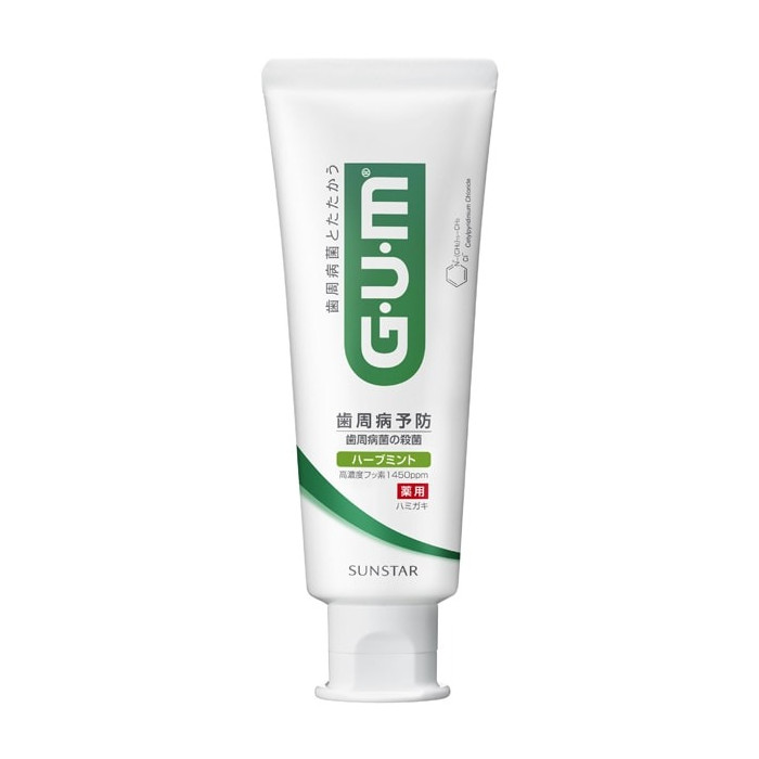 썬스타 GUM 덴탈 페이스트 치약 허브 민트 120g