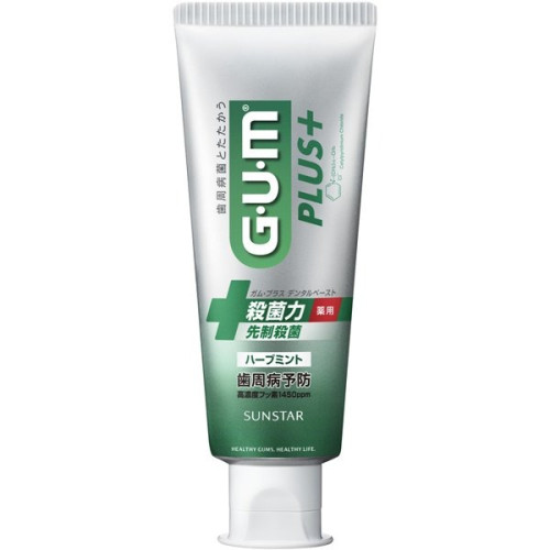 썬스타 GUM 플러스 덴탈 페이스트 치약 허브 민트 120g