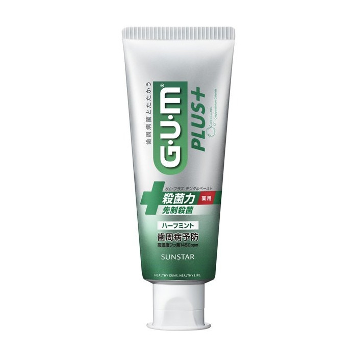 썬스타 GUM 플러스 덴탈 페이스트 치약 허브 민트 120g