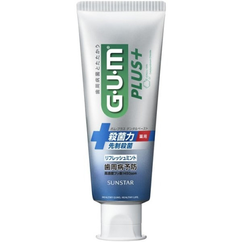 썬스타 GUM 플러스 덴탈 페이스트 치약 리프레시 민트 120g