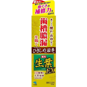 생엽 EX 약용 치약 치조 농루 조이기 100g