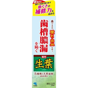 생엽 치조 농루를 방지하는 약용 치약 허브민트 맛 100g