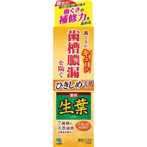 생엽 약용 치약 치조 농루 조임 실감 타입 100g