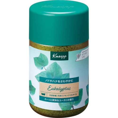 Kneipp 바스솔트 유칼립투스 향 입욕제 850g
